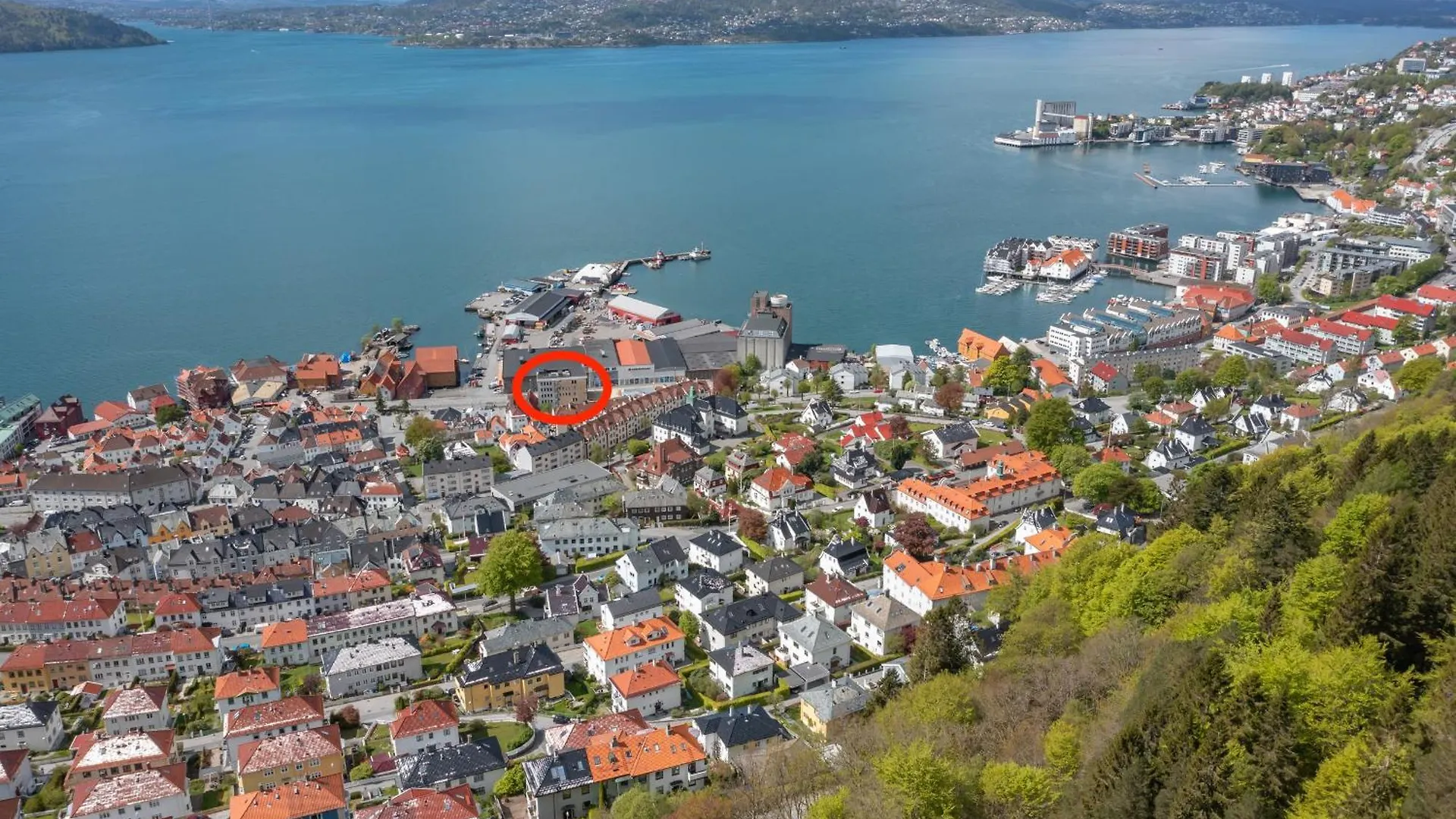 3-Roms Leilighet I Hjertet Av Sandviken برغن شقة